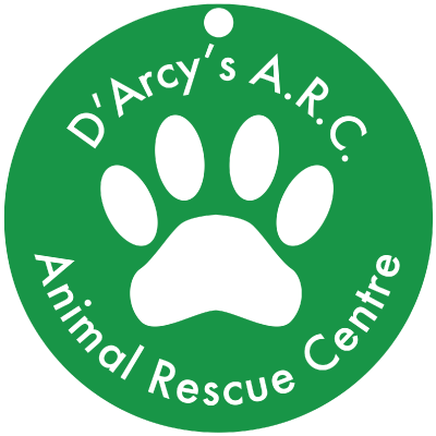 D’Arcy’s-ARC_logo_COLOR-400 D’Arcy’s-ARC_logo_COLOR-400